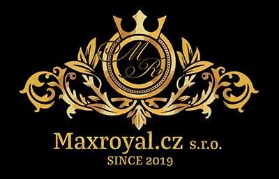 Maxroyal - hotelová a letištní přeprava osob s řidiči na nejvyšší profesionální úrovni